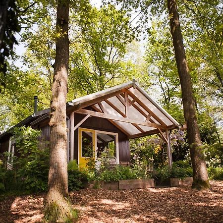 Knus Boshuisje Onder De Eiken Ermelo Extérieur photo